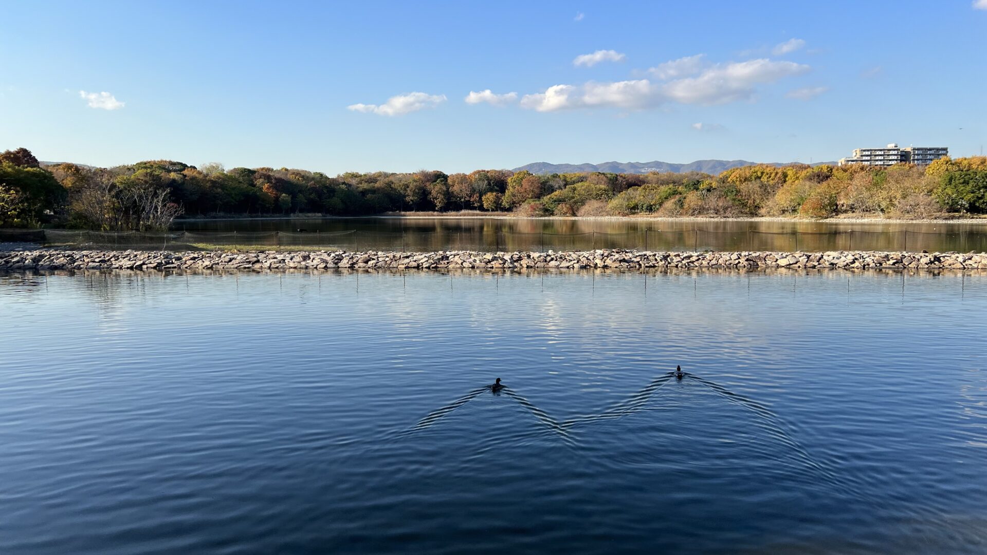 高木塾木津川教室の授業風景